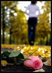 №37, Мария Брилёва №37, Мария Брилёва