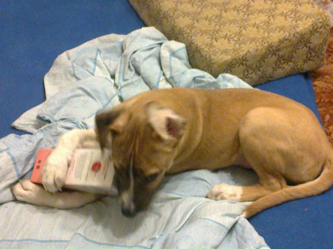 Светик Октябринская | Омск