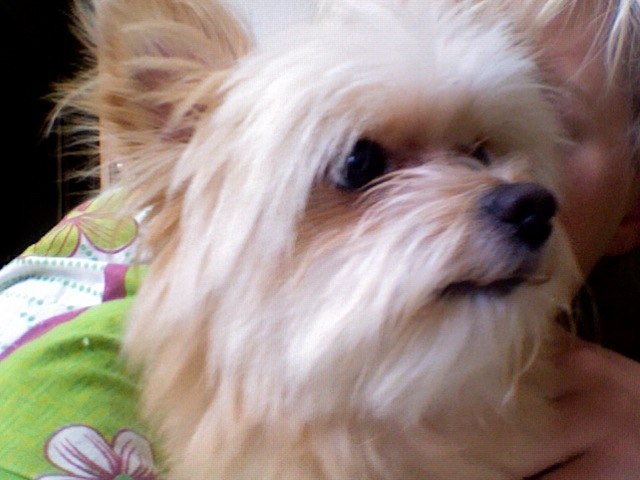 Даша Фильшина | Киев