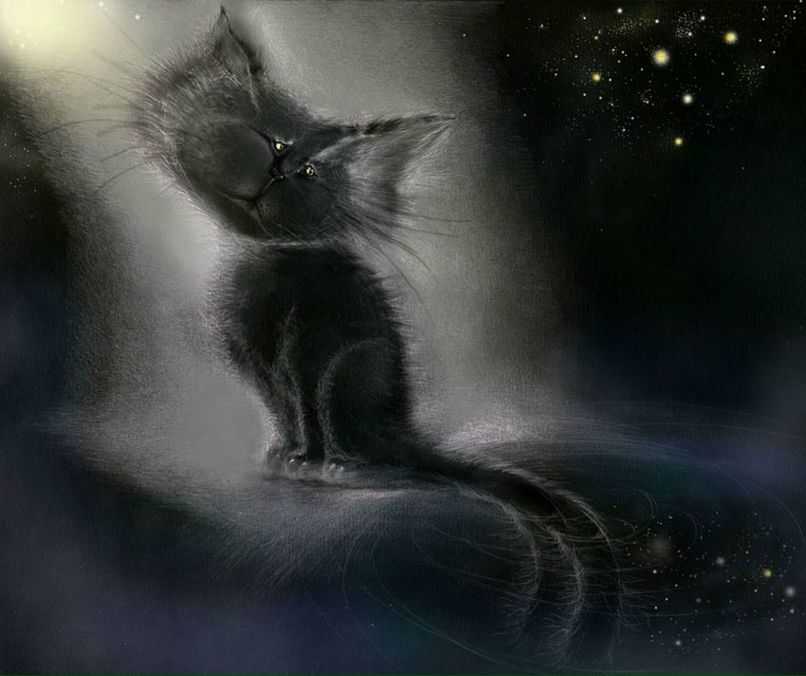 Светлана Баранова | Сосновый Бор