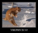 Фотография Бутерина Виталия