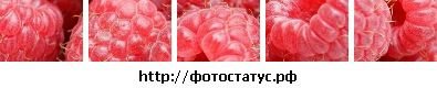 №4 Екатерина Кособокова 07.11.1992: профиль, фото, статус - ВКонтакте