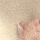 №31, Виктория Каркотенко, 32 года, Таганрог №31, Виктория Каркотенко, 32 года, Таганрог