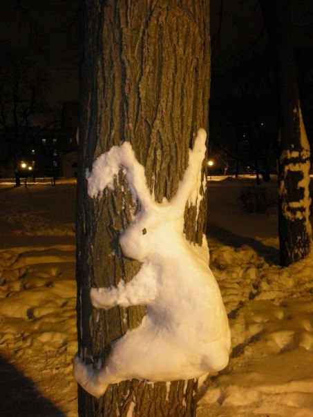 Ирина Задверняк | Санкт-Петербург