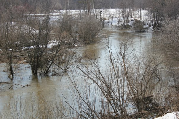 №66, Александр Михайлов, Санкт-Петербург №66, Александр Михайлов, Санкт-Петербург