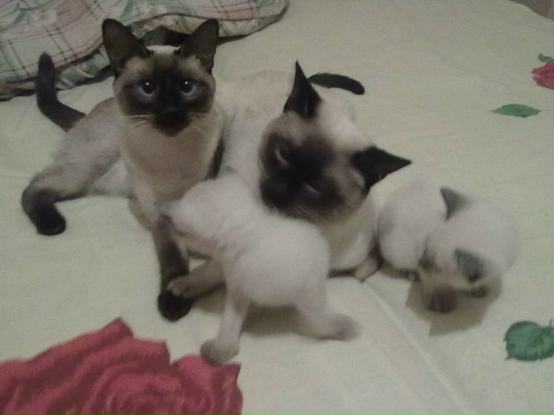 Андрей Рыжков | Colombo