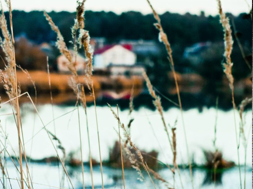 Наталя Драгущак | Львов