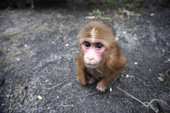 Игорь Ткачук | Чернигов