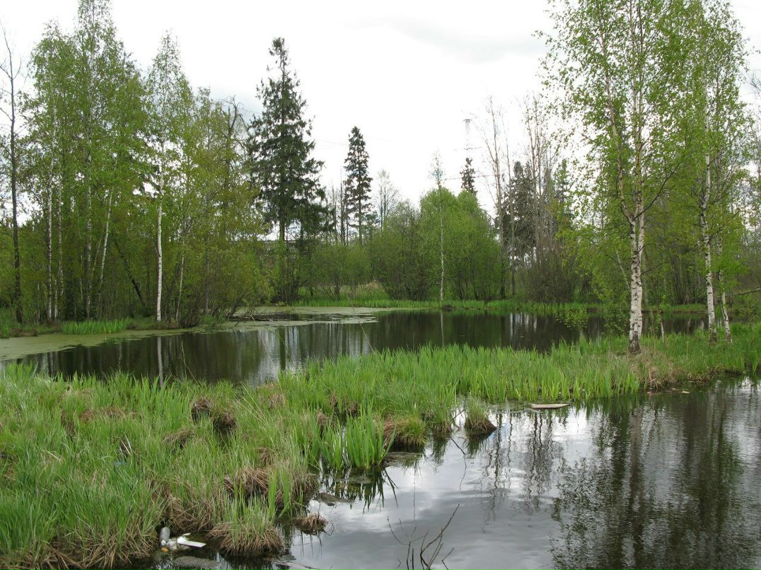 Евгений Кудрявцев | Йошкар-Ола
