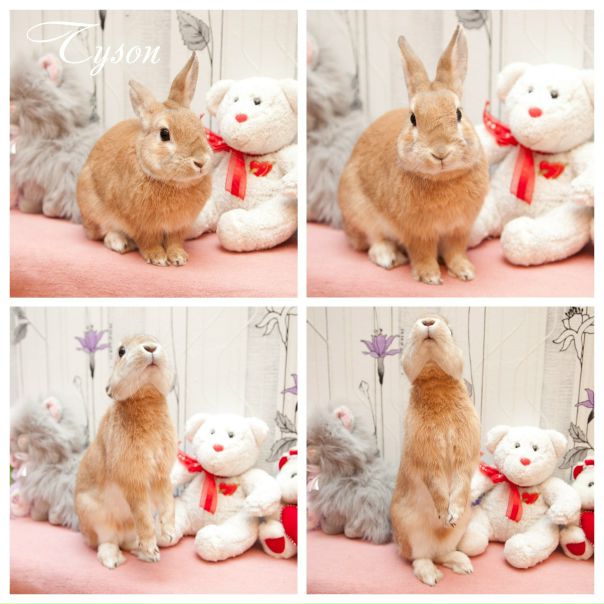 №129, Анна Макарова, 38 лет, Тюмень №129, Анна Макарова, 38 лет, Тюмень