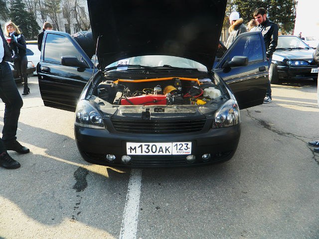 Антон Серый | Павловская