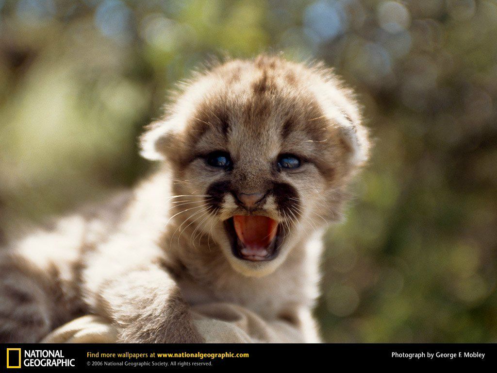Денис Яковлев Александрович | Москва