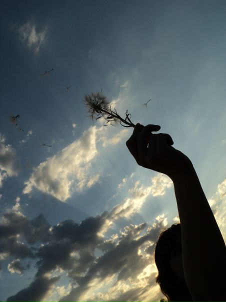 №110, Дарина Шевченко, Харьков №110, Дарина Шевченко, Харьков