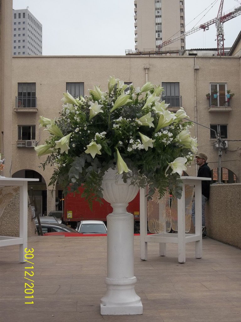 Дмитрий Смирнов | Санкт-Петербург