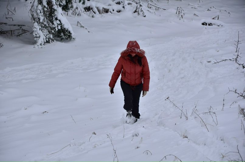 Анна Залогина | Севастополь