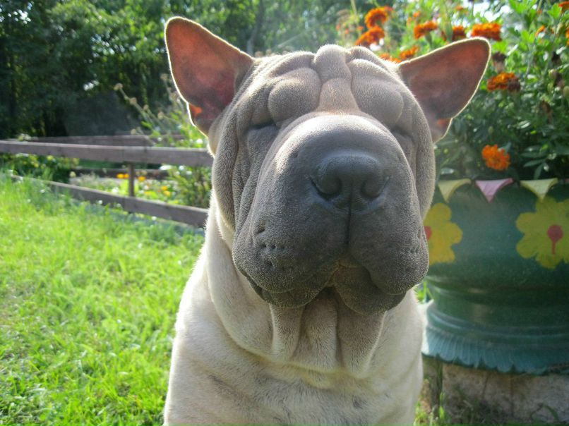 Ольга Капитанская | Санкт-Петербург