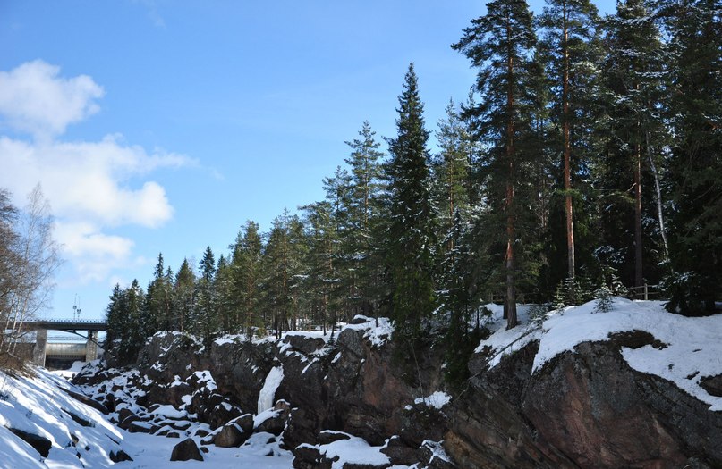 Игорь Легета | 