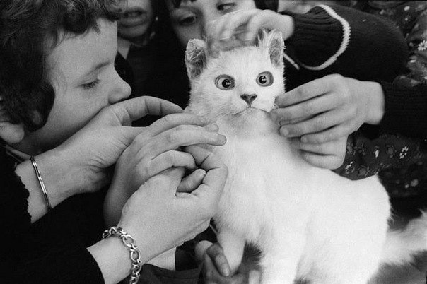 Татьяна Колесникова †Солянка† | Архангельск