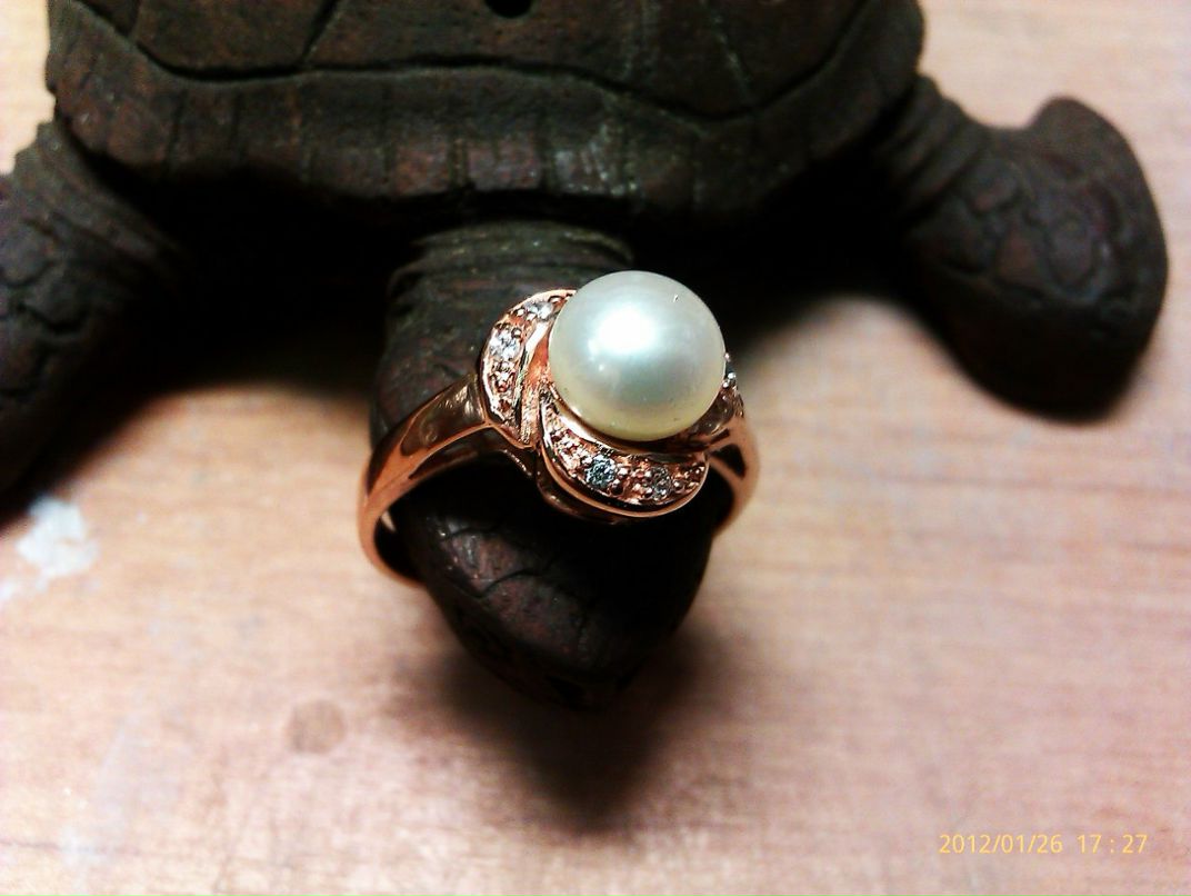 Федор Оськин | Санкт-Петербург