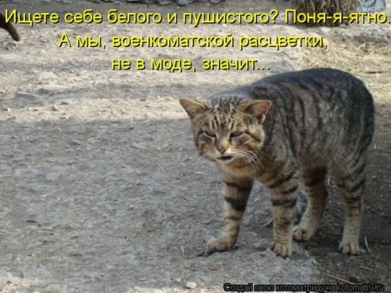 Василь Атаманчук Володимирович | Бережаны