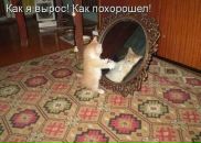 Фотография Наталья Игнашина