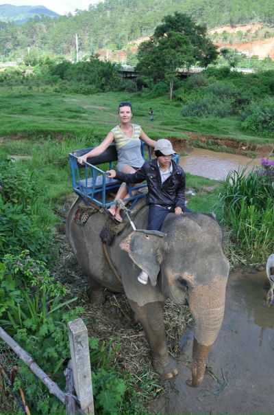 №4, Елена Насевич №4, Елена Насевич