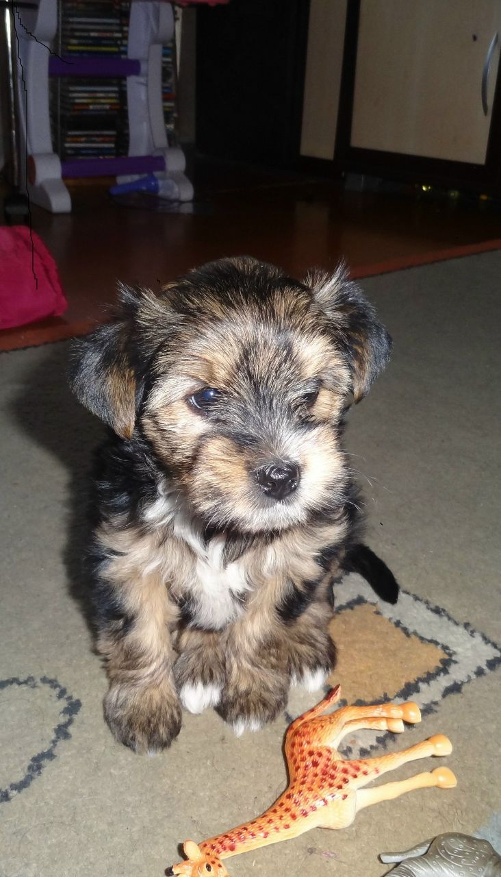 Анастасия Денисова | Кемерово