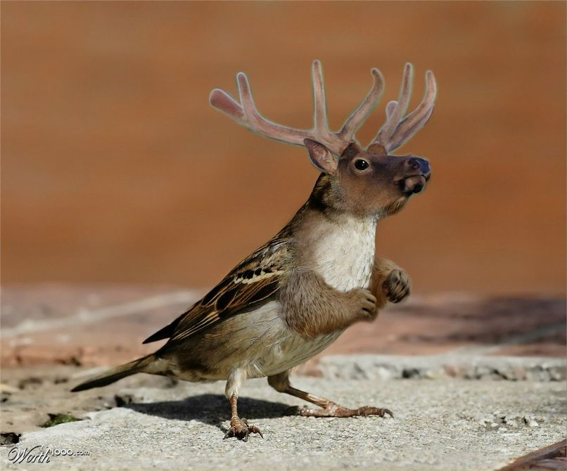 Аксинья Молшер Весна | Пермь