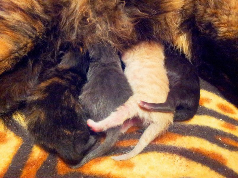 №86, Любовь Филиппова, Анапа №86, Любовь Филиппова, Анапа