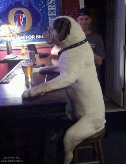 Александра Фадеева | Казань