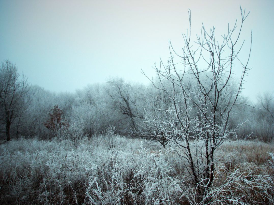 Елизавета Грабовец | Харьков