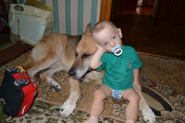 №13, Николай Чесноков, Одесса №13, Николай Чесноков, Одесса