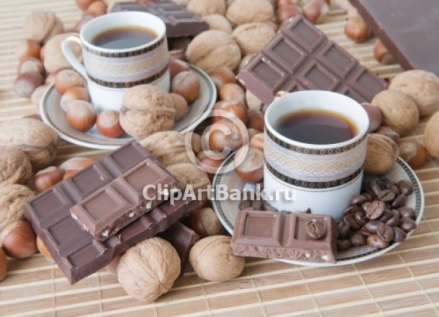 Василий Горшков | Санкт-Петербург