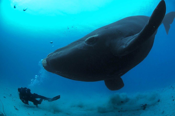 Артур Айвазян | Москва