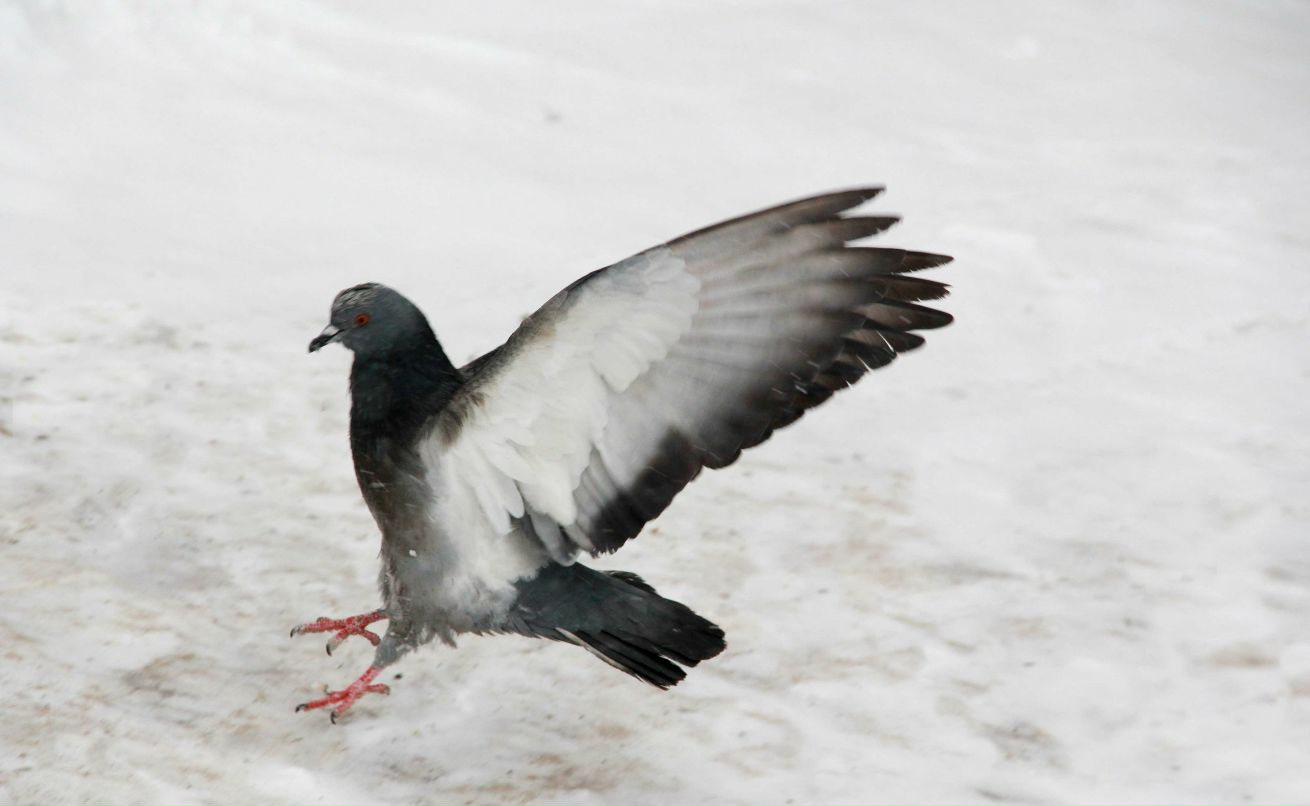 Катерина Анохина | Волжский