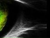 Миша Еремин | Москва