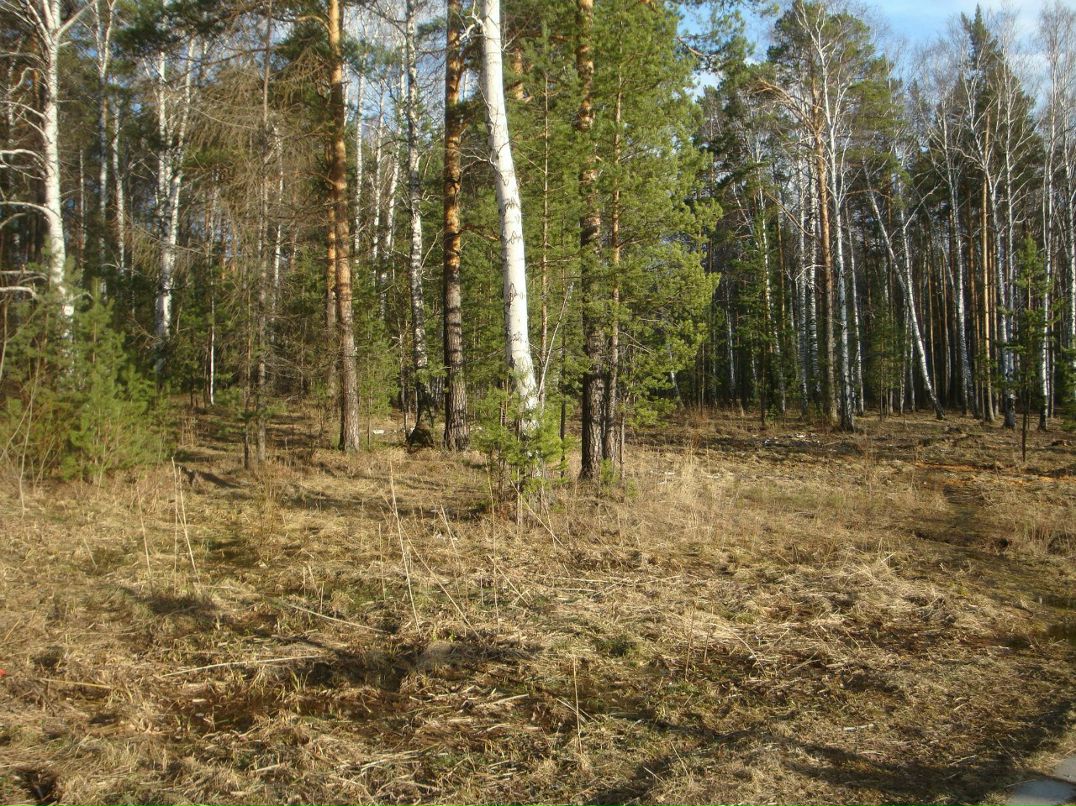 Никита Шмелев Олегович | Екатеринбург