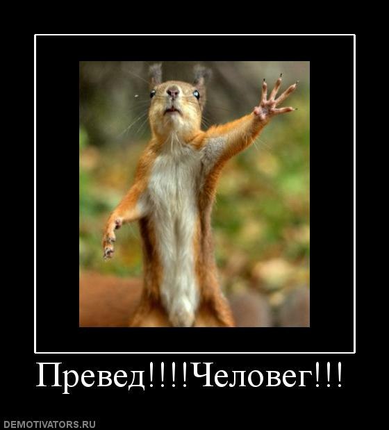 Володя Володин | Елец