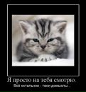 №10 Ирина Шуневич 18.07: профиль, фото, статус - ВКонтакте