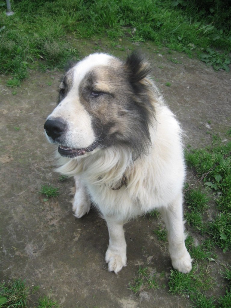 Сергей Соколов 