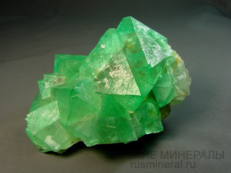 Анастасия Малкова | Долина Свободы