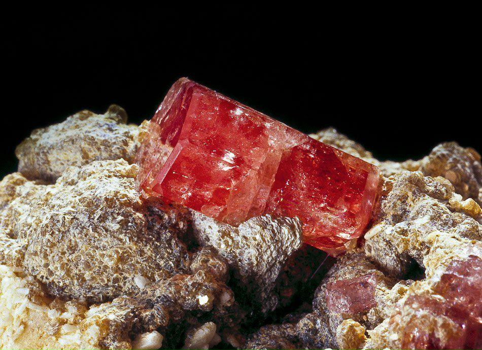 Анастасия Малкова | Долина Свободы