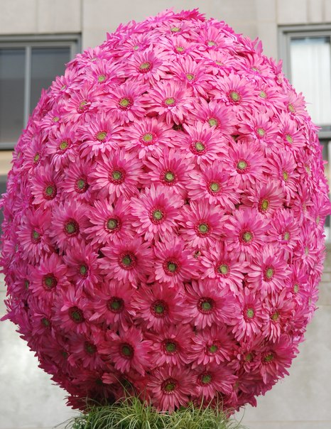 №43, Анна Кибиткина, 25 лет, Санкт-Петербург №43, Анна Кибиткина, 25 лет, Санкт-Петербург