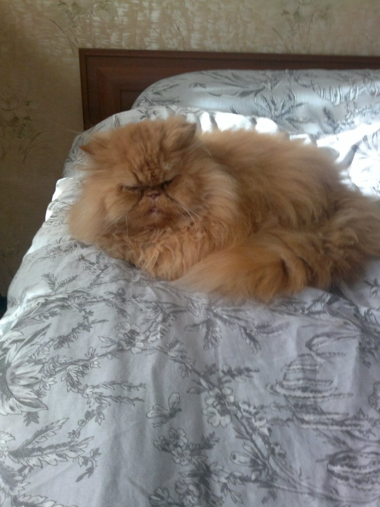 Роман Смирнов | Санкт-Петербург