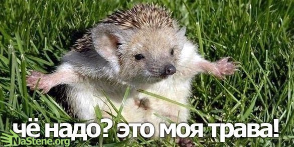 Никита Карпов юрьевич | Самара