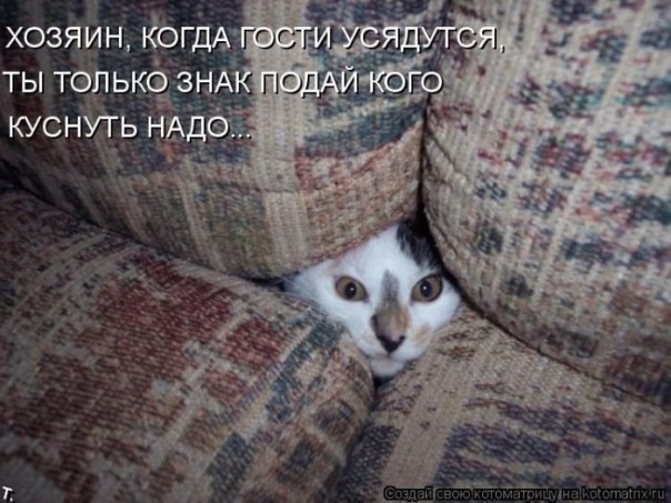 №20, Таня Куликова №20, Таня Куликова