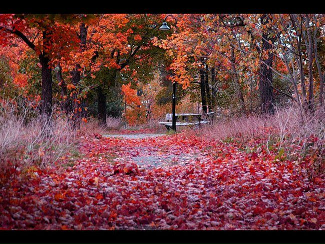 №52, Александр Ситников, 40 лет, Санкт-Петербург №52, Александр Ситников, 40 лет, Санкт-Петербург