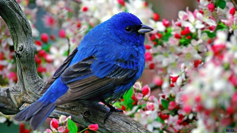 Елизавета Уманская | Киев