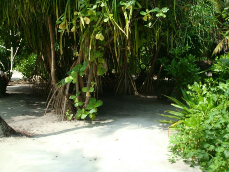 №28, Эдуард Вахрушев, Балашиха №28, Эдуард Вахрушев, Балашиха