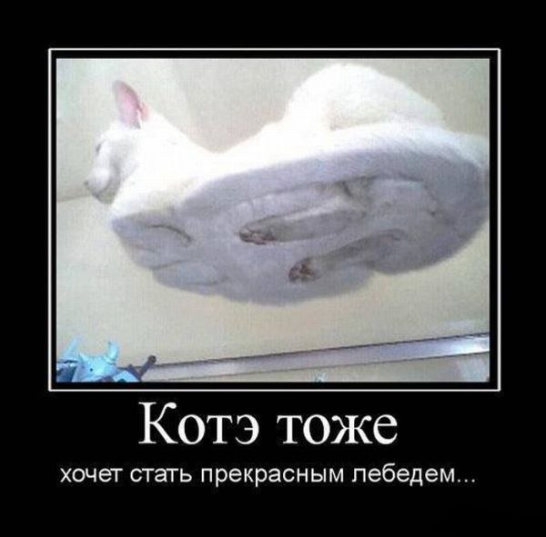 Илья Кузьмин | 